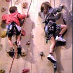 Image for Climbing wall panel 