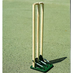 Image for Sprung stumps Wood