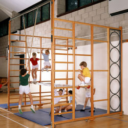 Image for Double climbing frame with ropes 