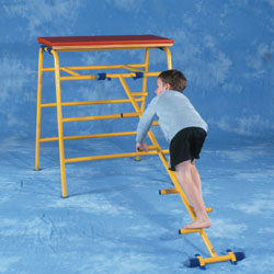 Image for Gym Time cat ladder 