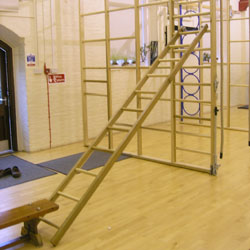 Image for Wood PE ladders  10' long