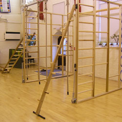Image for PE Peg ladders T bar foot