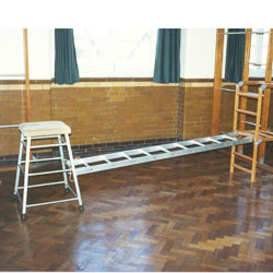 Image for Alloy PE ladders  3m long