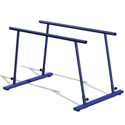 Image for Training parallel bars 