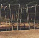 Image for Assault course, Trim trail
