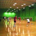 Image for Badminton