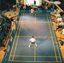 Image for Badminton