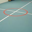 Image for Court marking