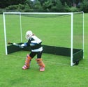 Image for Goals and posts