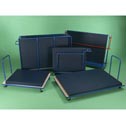 Image for Gym mats & crash mats