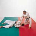 Image for Judo