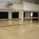 Image for Mirrors & ballet barres