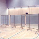 Image for Mirrors & ballet barres