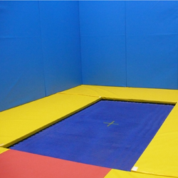 Image for Rebound therapy