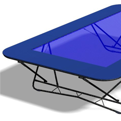 Image for Rebound therapy