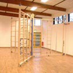 Image for Spectrum Y climbing frame 