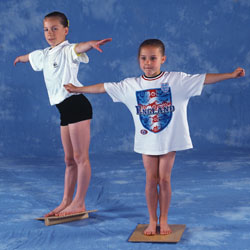 Image for Wobble board 