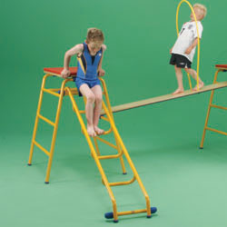 Image for Gym Time ladder 