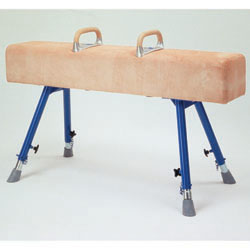 Image for Vaulting horse  Horse