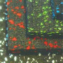 EverGym mat  10mm thick