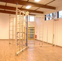 Spectrum Y climbing frame 