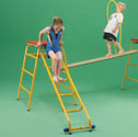 Gym Time ladder 