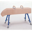 Dropneck vaulting horse  Horse