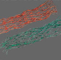 Netball nets Green/orange